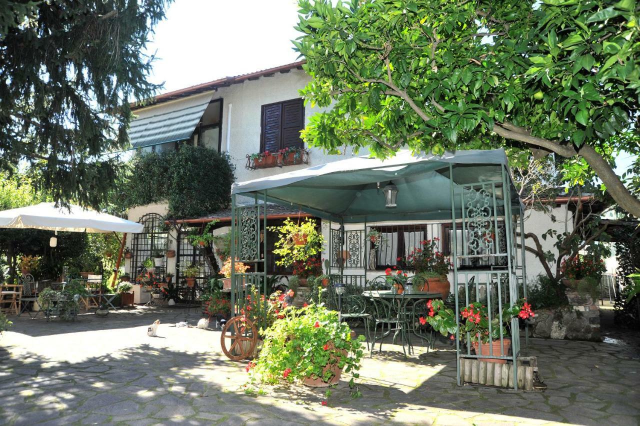 Casa Pontecorvi Bed & Breakfast Velletri Exterior photo