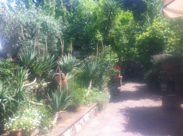 Casa Pontecorvi Bed & Breakfast Velletri Exterior photo